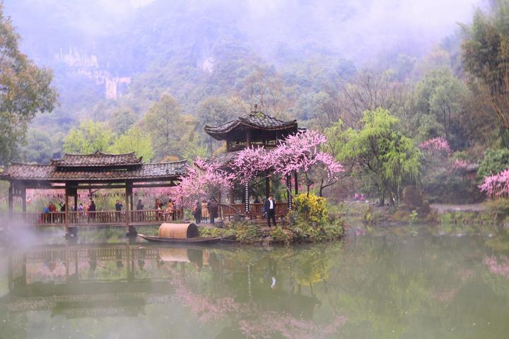 营救小猫头鹰